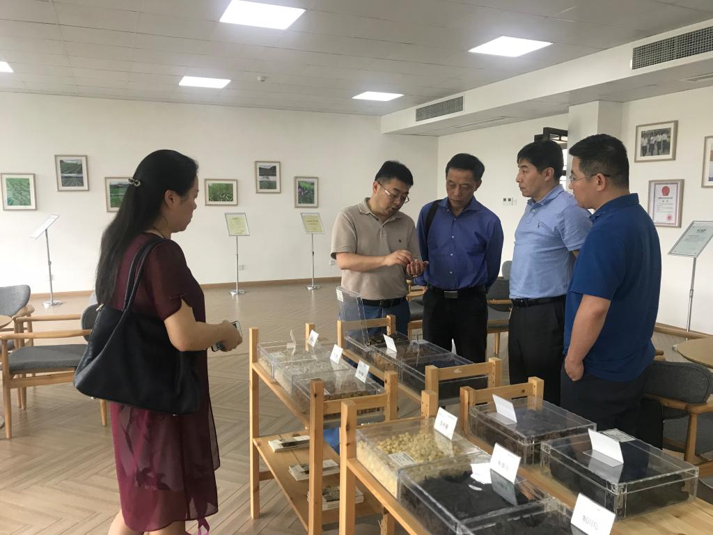 学院领导赴国嘉集团新荷花中药饮品股份有限公司调研