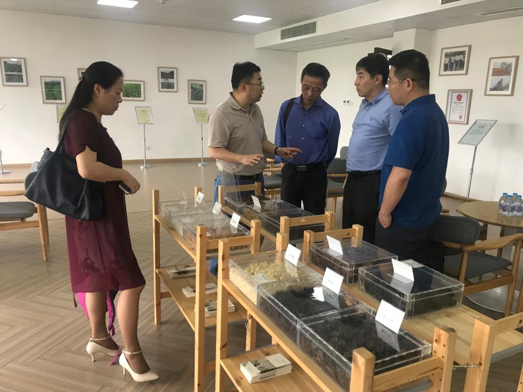 学院领导赴国嘉集团新荷花中药饮品股份有限公司调研